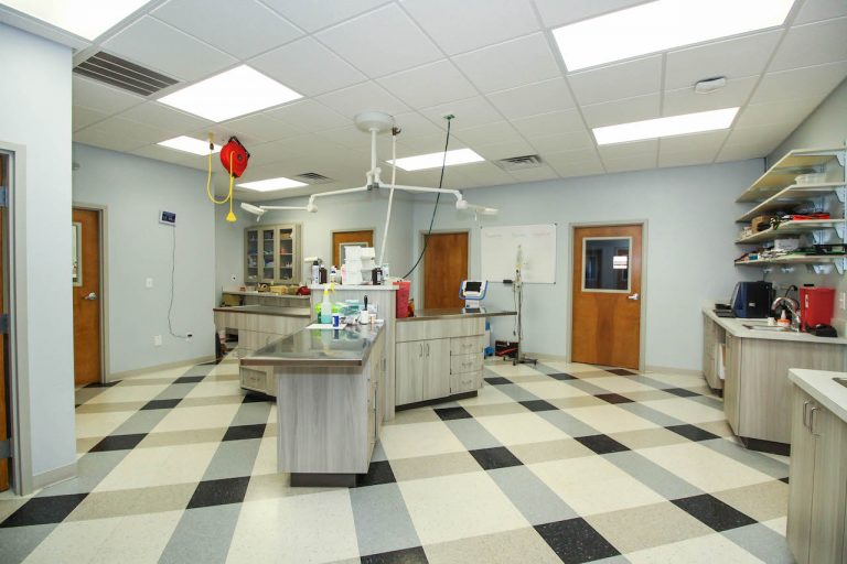 Great Hartwell Animal Hospital in the world Learn more here 