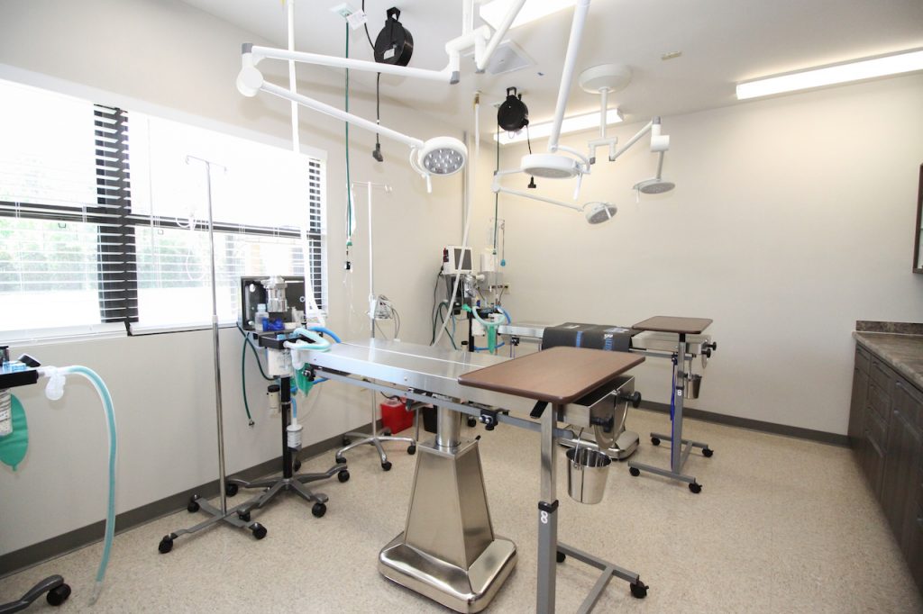 animal-hospital-surgery-suite-ray