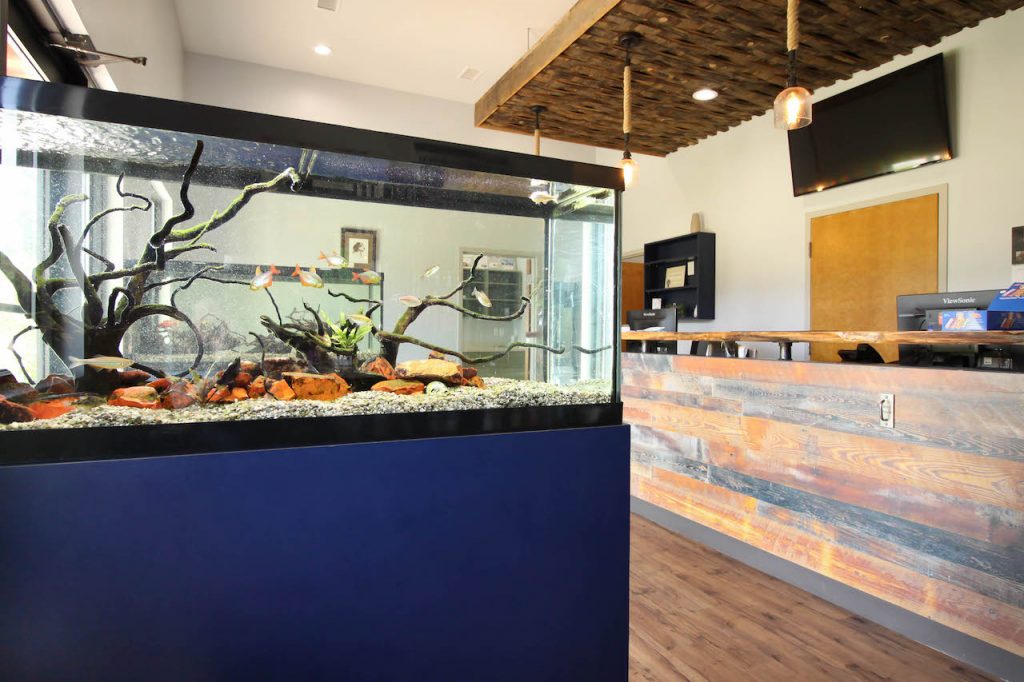 vet-clinic-reception-aquarium-keifer