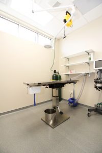 vet-clinic-surgery-suite-kleine