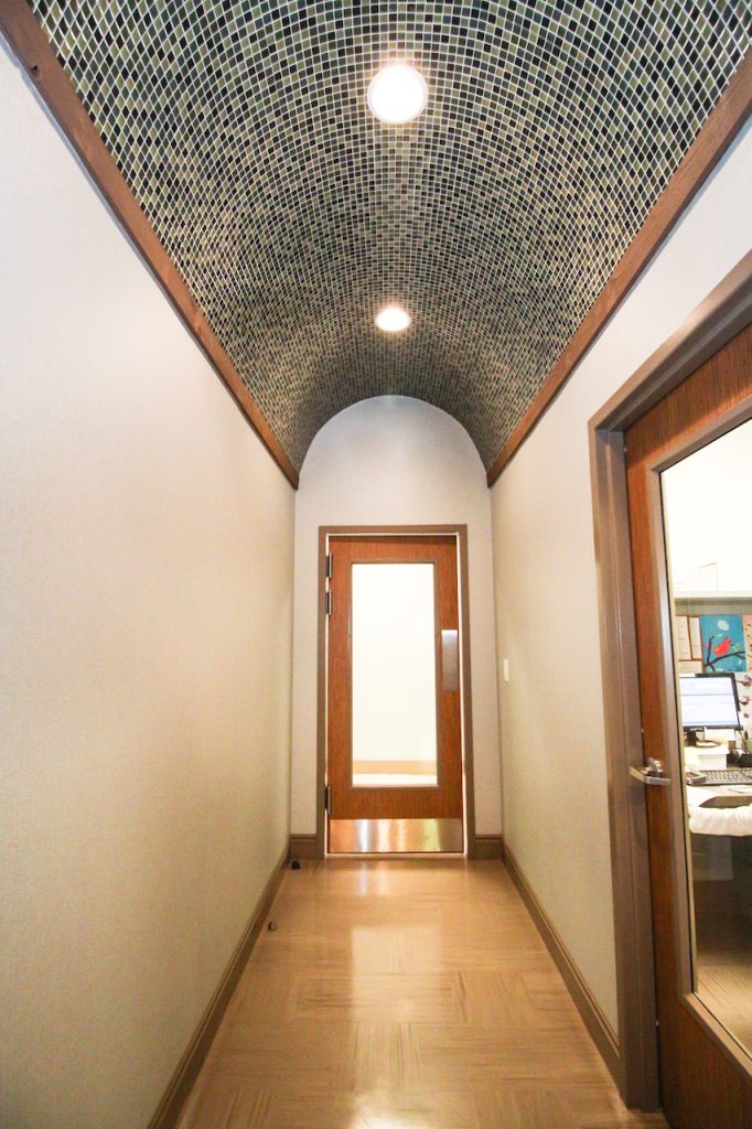 veterinary-barrel-ceiling-mosaic-tile-obsitnik