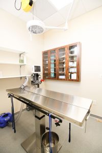 veterinary-surgery-pass-through-cabinet-kleine