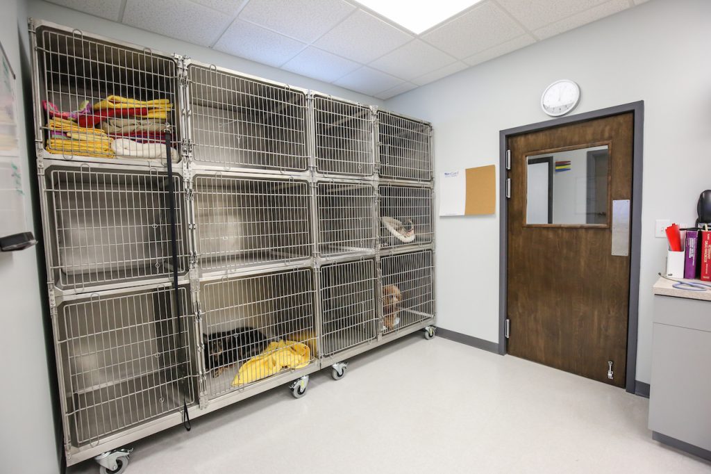 vet-clinic-dog-cages-mcgarity